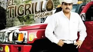 Los Chiquinarcos - El Tigrillo Palma