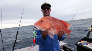 Information @coastalfishingmayhem first taste of Dampier offshore fishing!! Guide