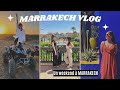 Vlog  marrakech  dsert dagafay riad et jardin majorelle