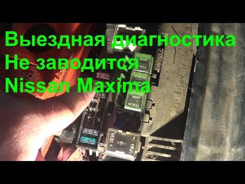 Видео: Колко колана има Nissan Maxima?