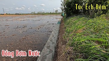 Đặc 12 Cửa Ngục Túc Ếch Đêm Đồng Bơm Làm Ẩn Thực Rai Rai Cùng AE | Mười Thương SB
