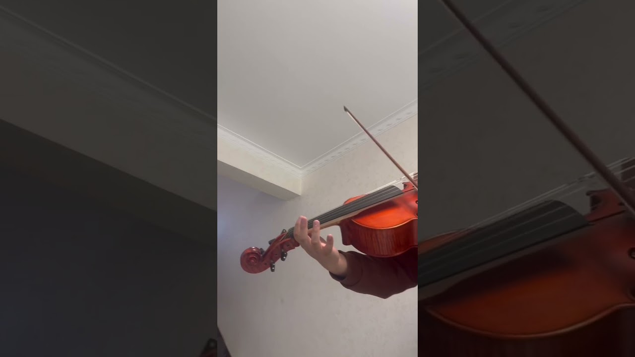 5 string thicker rib 18 inch Viola