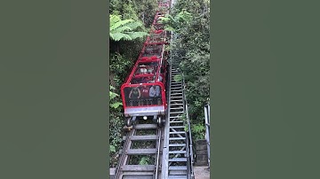 Thumbnail of Steepest railway, Blue Mountain, Sydney. 🙀. #blue mountains #australia #sydney #nature #fun #rider