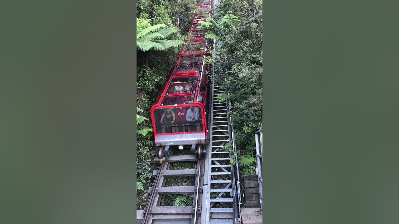 Steepest railway, Blue Mountain, Sydney. 🙀. #blue mountains #australia #sydney #nature #fun #rider