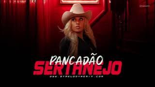 MEGA PANCADÃO SERTANEJO | PLAYLIST SERTANEJO REMIX 2023 | AS MAIS TOCADAS 2023 [08]