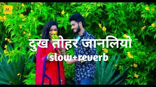  gourav Thakur Ka Lofi Song      2025 Ka New Lofi Song