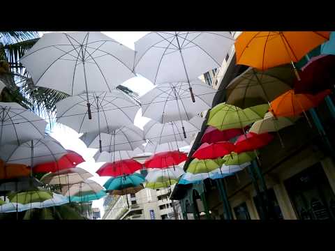 Parapluie in Port