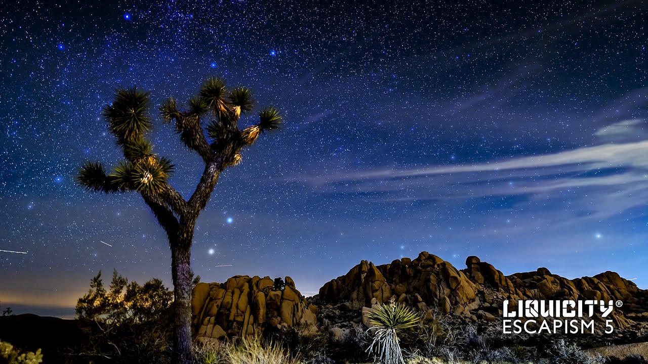 Technimatic - Lightwave