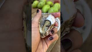 HOW DO YOU EAT OYSTERS | FRESH RAW OYSTERS shorts