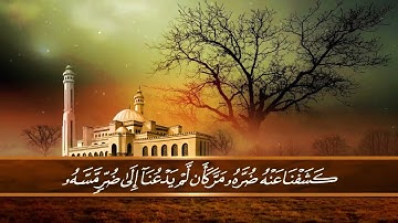 ماتيسر من سورة يونس للقارئ ماهر شعلة