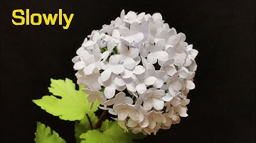 ABC TV |  How To Make Snowball Viburnum Paper Flower (Slowly) - Craft Tutorial