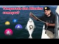 Temporada das ALTCOINS começou ou é melhor vender tudo?