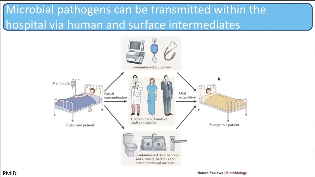Viral Surveillance Made Simple ft CHOP's Dr. Potter | Plasmidsaurus Webinar