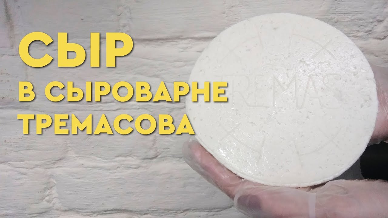 Сыр российский в сыроварне Тремасова / Домашняя сыроварня / Как сделать сыр