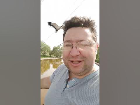 кому ж повезло більше? - YouTube