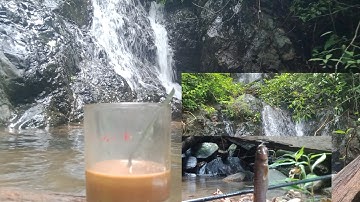 Đi rừng câu cá suối, một mình ở giữa rừng câu cá, cà phê ở thác nước, cảnh đẹp thác nước núi rừng