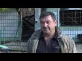 На Дніпропетровщині банда палила майно фермерів, вимагаючи данину
