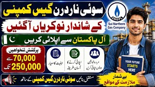 Information Sui Northern Gas Company (SNGPL) Jobs 2026 | How To Apply l Gas company New Jobs l Today New jobs Update
