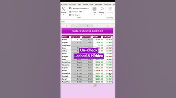 Excel Sheet Protect & Formula Hide #exceltech #advancexcel #excelgyan