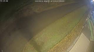 Iok - Containerpark - Geel