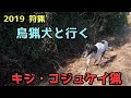 【狩猟】鳥猟犬と行く！念願のキジをとうとうゲット！？