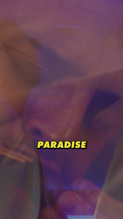 HOW IT FEELS HEARING DIM SUM PARADISE LIVE