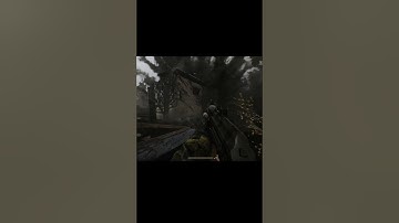 stalker anomaly custom #gameplay #anomaly #stalker