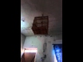 بلبل ديالى الهاشميات
