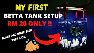 Black and White  Betta Tank Setup Ideas -  Betta Fish Tank Setup