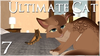 Stray Cats Hiding in the Bedroom • Ultimate Cat Simulator - Episode #7 screenshot 3