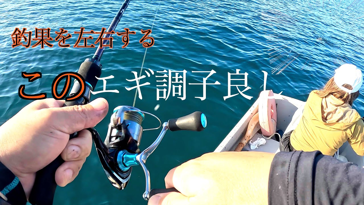 【秋イカ】アラフィフ夫婦が始めたエギング🦑二年目突入