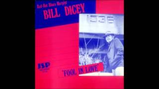 Bill Dicey - Fool in Love chords