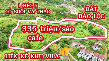 335TR/SÀO-ĐẤT CAFE CÓ SUỐI VÀ THÁC-ĐƯỜNG BÊ TÔNG-LIỀN KỀ KHU VILA BẢO LỘC