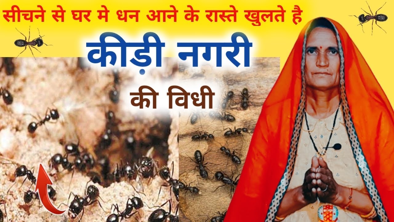 कीड़ी नगर सीचने की विधी - kidi Nagar sichne ki vidhi | कीड़ी नगरी की विधि - kidi Nagar ki vidhi |