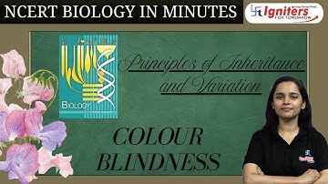 Colour Blindness | Principles of Inheritance and Variation |NCERT Biology in Minutes|Class12&NEET