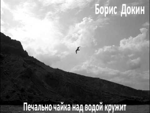 Птицы баренцева моря. Волна байкала 6,25. Волна байкала 6,25. Чайки над водой ноты. Песня кружится чайка.