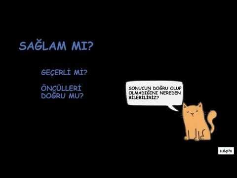 Video: Tümdengelimsiz argüman nedir?