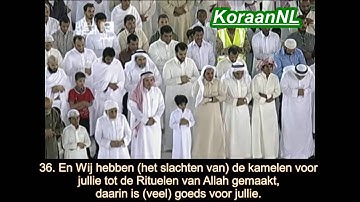 Abdallah Al-Juhani (عبدالله الجهني) - Al-Hadj (34-37) سورة الحج - NL