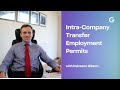 Understanding Intra-Company Transfer Employment Permits with Daireann Gibson I Employment Permits