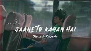 Jaane tu Kahan Hai Slowed+Reverb (Lofi Night Song)