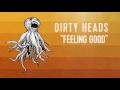 Dirty heads  feeling good official audio