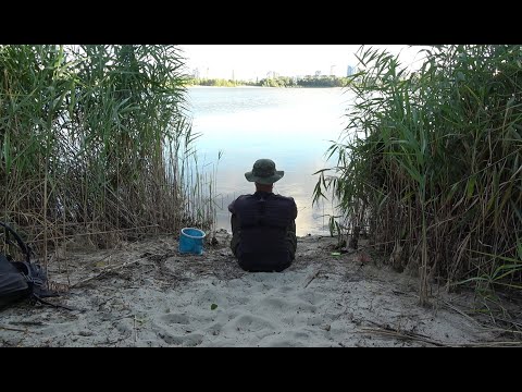 Видео: Что можно поймать на реке Днепр с одной поплавочной удочкой? ТАКИХ РЫБИН Я НЕ ОЖИДАЛ!!!