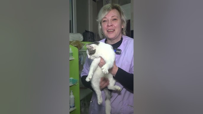 Жалаңаш ауа райы жүргізушілерінің порносы Порно алыптары