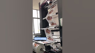 Flexo printing machine for eight color double side plastic bag printing