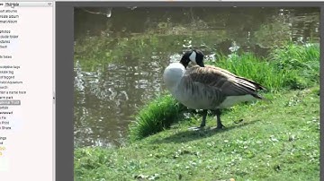 Serif PhotoPlus X5 - Organise and Share