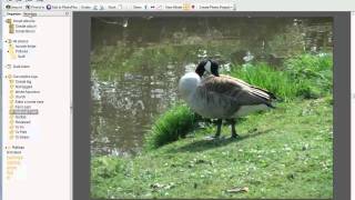 Serif Photoplus X5 - Organise And Share