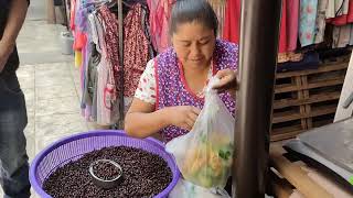 Atotonilco el grande ; garambullos y algo más.