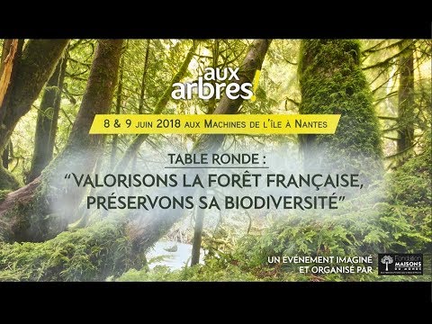 Vidéo: Qu'est-ce qu'un foret Impact Ready ?