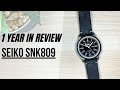 Is This REALLY The Best Watch Under $100? | Seiko SNK809 1 Year In REVIEW