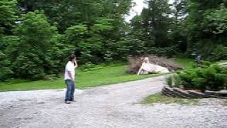 Picture 528.avi